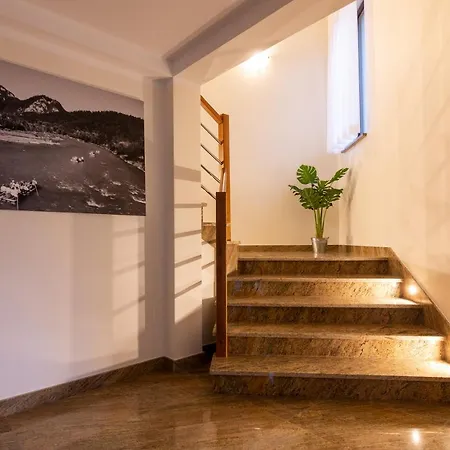 U Slodyczki * Mizerna